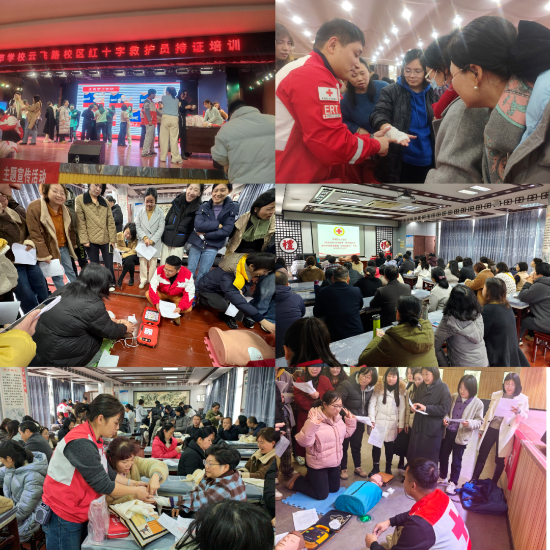 1773109557395.png 3.png